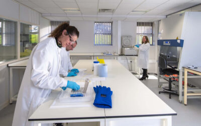 Lab-Capable Offices to Let at Peakside House